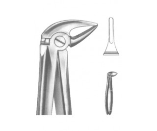 Extracting Forceps English pattern